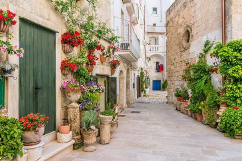Il Mare In Citta. Appartamento Vista Mare Monopoli Eksteriør billede